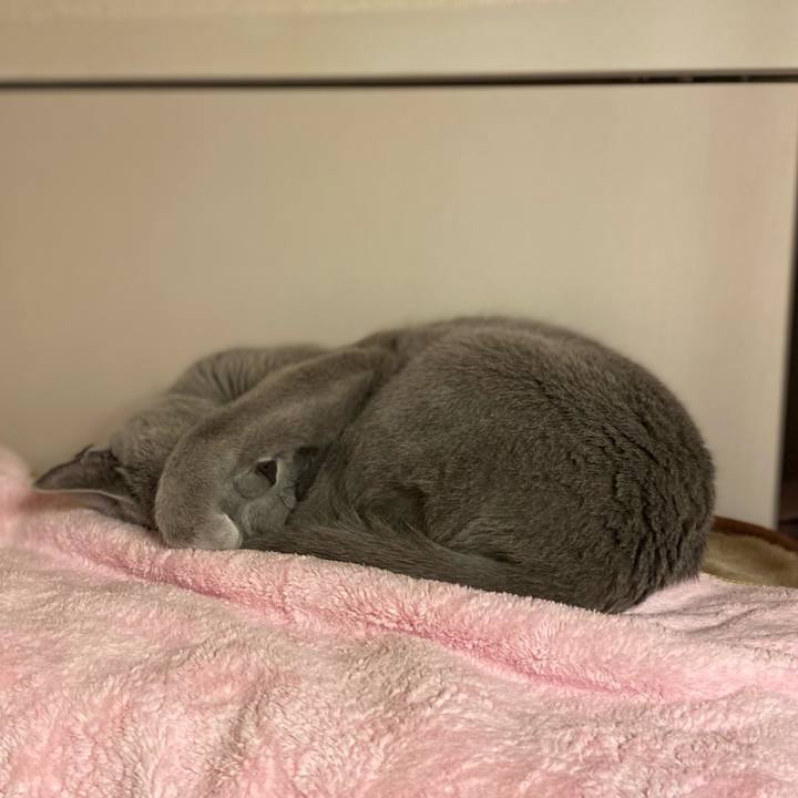 Fb02ed53 1db4 4982 942c f29d38d663a0 1715813878003