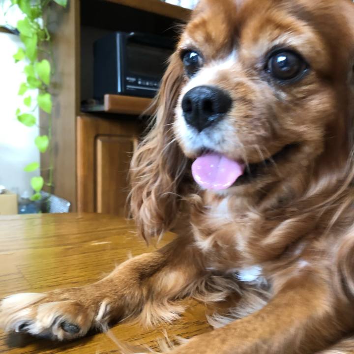 Fb02edda 1754 41f0 89cc 4a0a79400d65 1632953653727