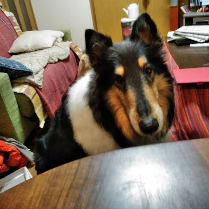 Fb030340 02d5 4f6c 84bb 2bea6d9e9b74 1516106452457