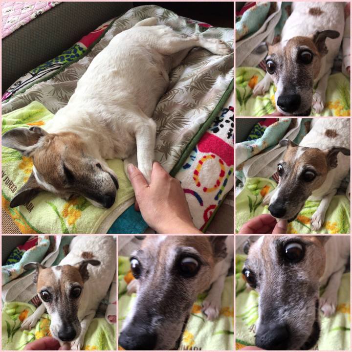 Fb03113d 3c4e 4995 adf9 0fe7b5f979a1 1533882427910