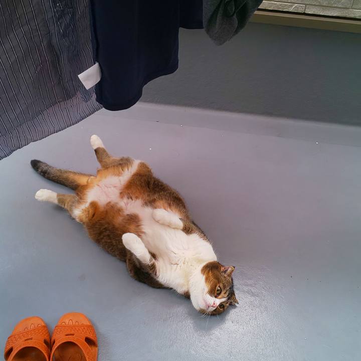 Fb033f71 840c 4290 bd7a 7a99d033c526 1693867378149