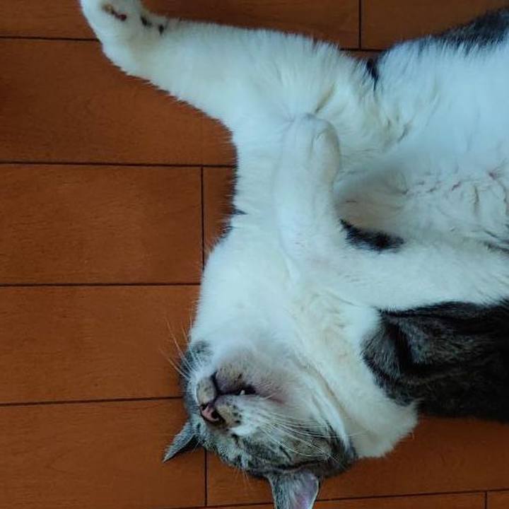 Fb0360fe 5a7d 4be4 ac72 0323ef52569d 1690250271418