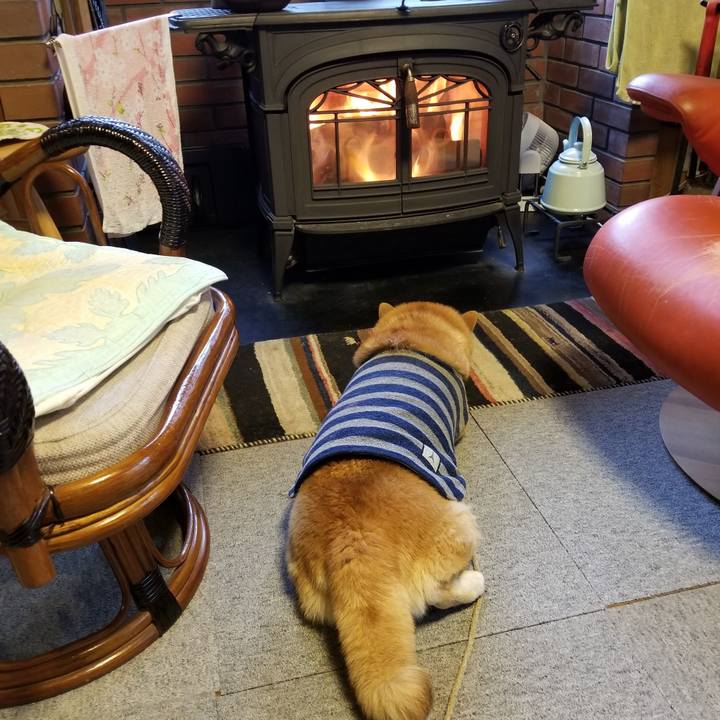 Fb0379c4 97a2 45a1 8112 e31688b41ded 1576796718714