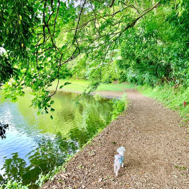 Fb03b907 f7cc 42b7 b47f e1f96b369822 1623227785595