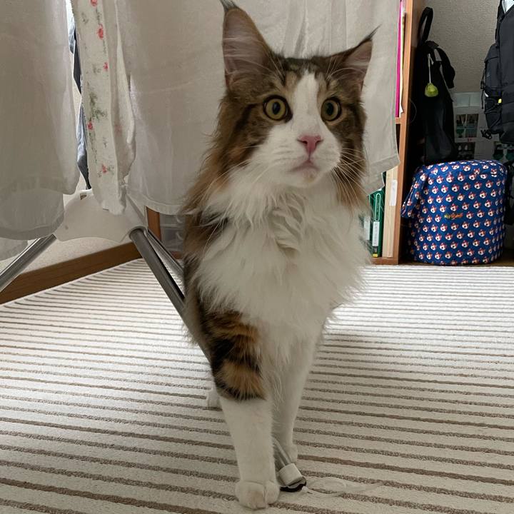 Fb03c847 a41e 4c0f 9594 5def6a3215fe 1647692521137