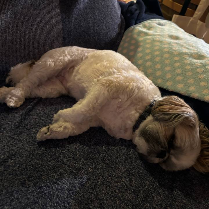 Fb03d4ac 1b21 4dfc 9553 4b3180bafb4d 1721536891825