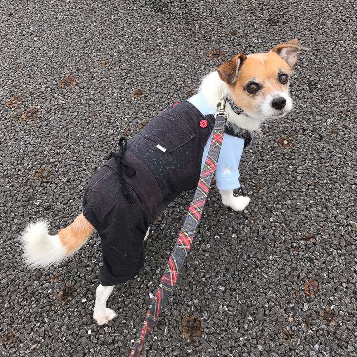 Fb03f9f9 bf7c 413d 80b7 28fe9cd2230b 1544231162919