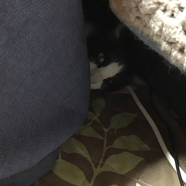 Fb044bd4 5cdc 4ba6 939c bd0013cfccba 1743593151886