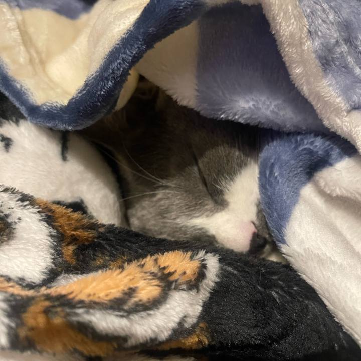 Fb045ce0 55fd 48d5 bbf9 f8a31fe9dcf4 1737124359401