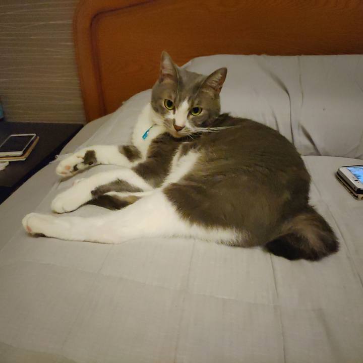 Fb04d0ee 6e48 4a7c b176 6643bf43b143 1662811186931