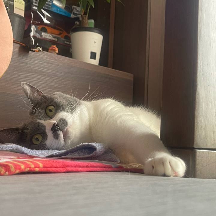 Fb04d84f e56e 4e8d b59a bc1a4f5658c6 1759108678045