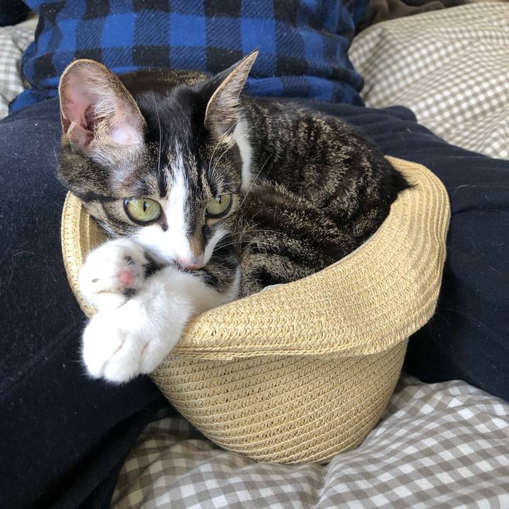 Fb04dd83 c30d 495f a24c 1c4483b7f9ed 1618260796142