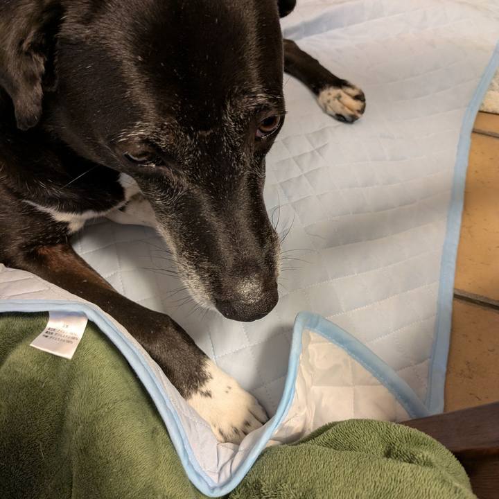 Fb05452c 771a 49c8 ab14 3e50822f6aa7 1752269407473