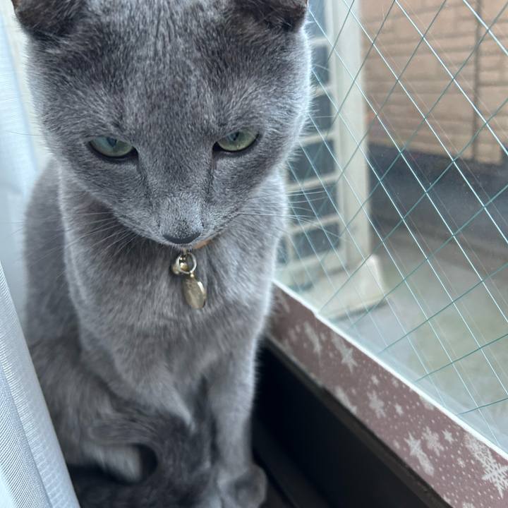 Fb05526a d745 4e29 837d 40b8a68b47f0 1701124191952