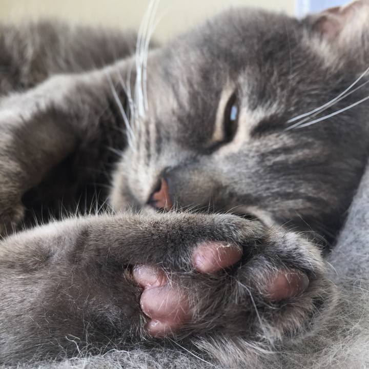 Fb0553c3 0587 4d76 ab89 e0b9a6aae65c 1540082171624