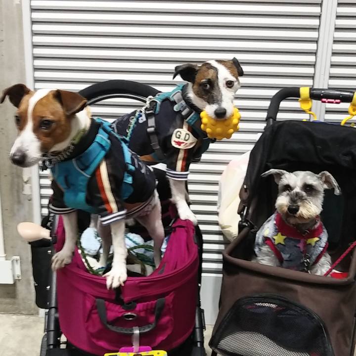 Fb055b93 4b3c 4977 9d84 174499889f7d 1578744084201