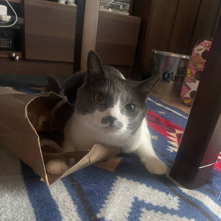 Fb05706a 3e51 46b8 993e 70ac221ee21e 1688417504604