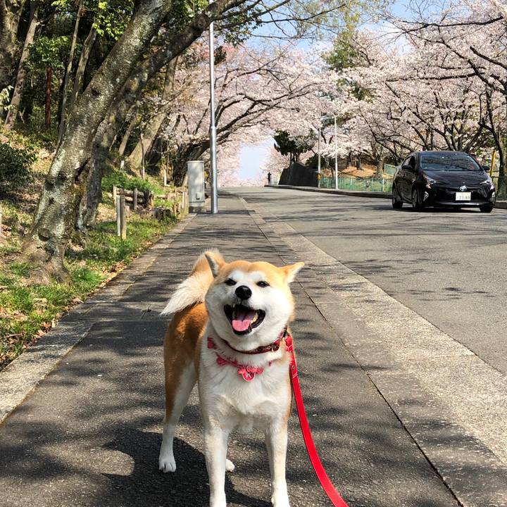 Fb059507 aa3c 4901 a971 73be24fc67df 1554515691676