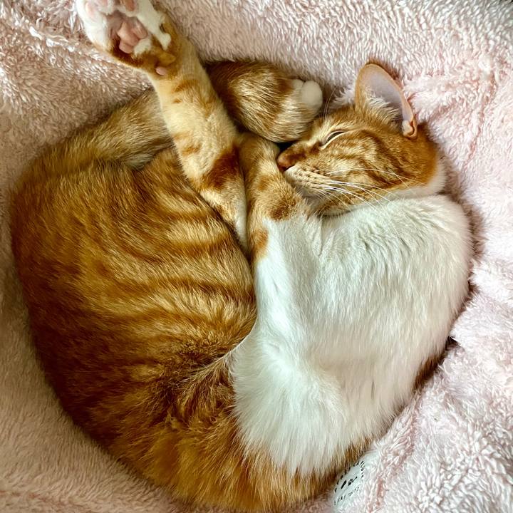 Fb05a19e c771 490a bb1a 0a8ad17e146a 1677983366023