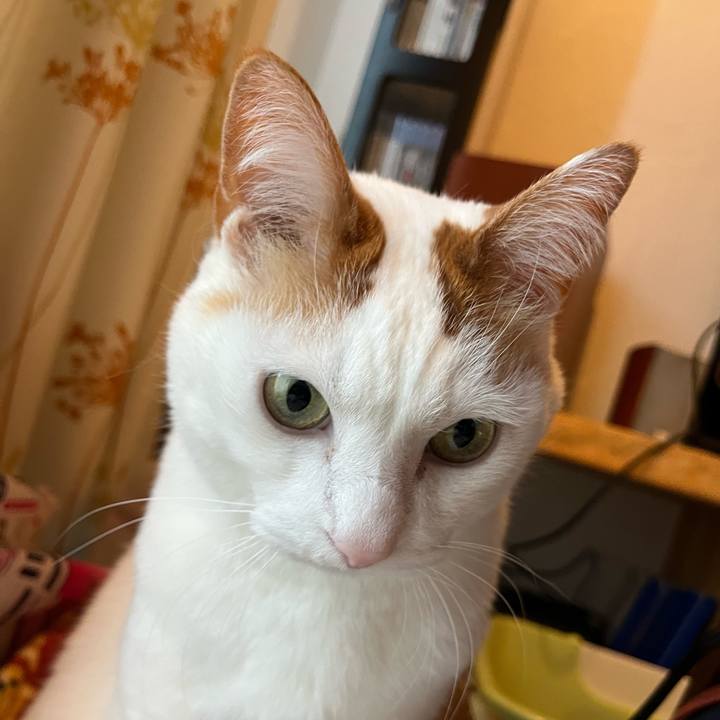 Fb05a50f 1b1f 4a42 9414 930b07a0e121 1773153965318