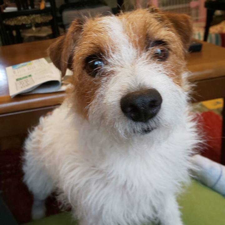 Fb05dde2 095a 4389 8a43 7528a0efebda 1562988672842