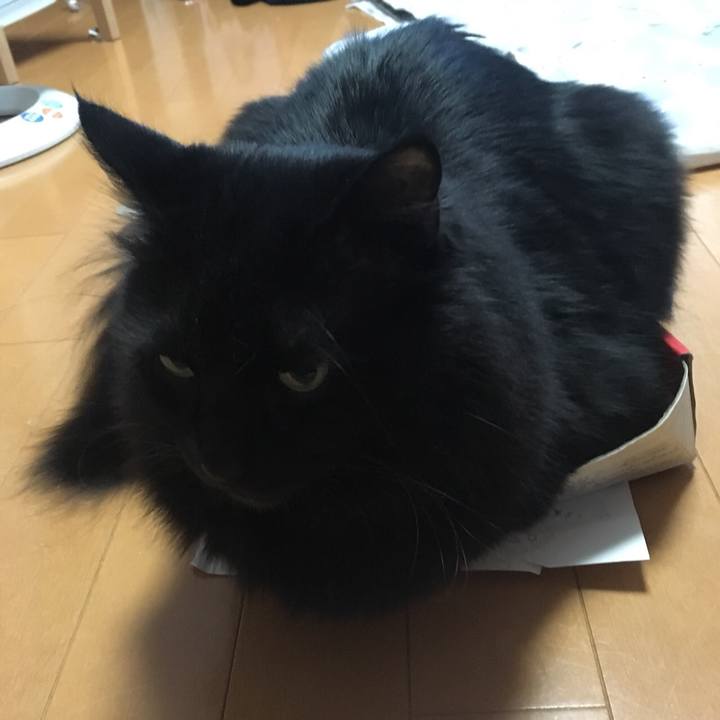 Fb0638c9 0969 42a6 b57d 4c11979f6cb9 1516846579314