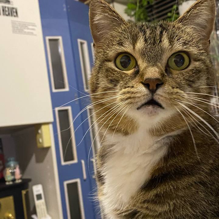 Fb06503f cbe1 406c 9777 8bc94f74e75b 1643807854111