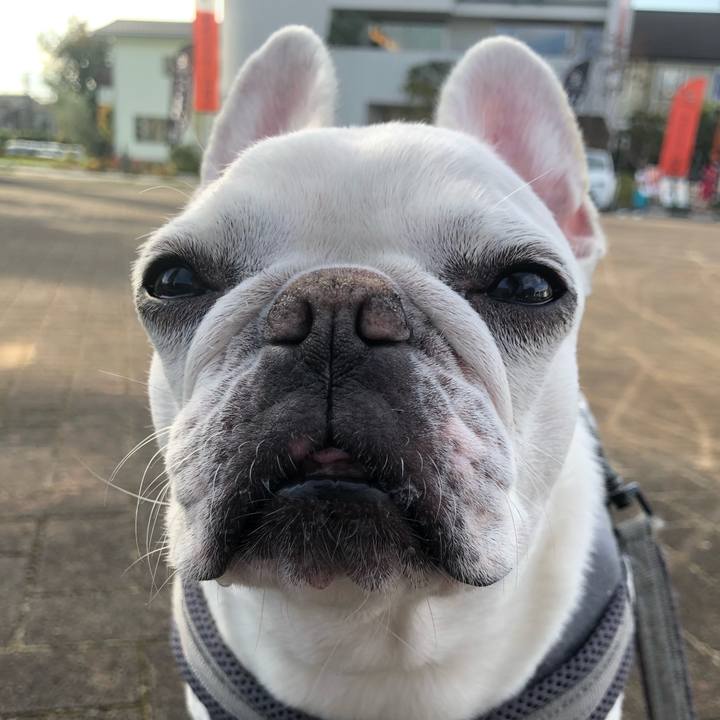 Fb06599b fc0b 478d 94e6 c45bc9de5c04 1667112173231