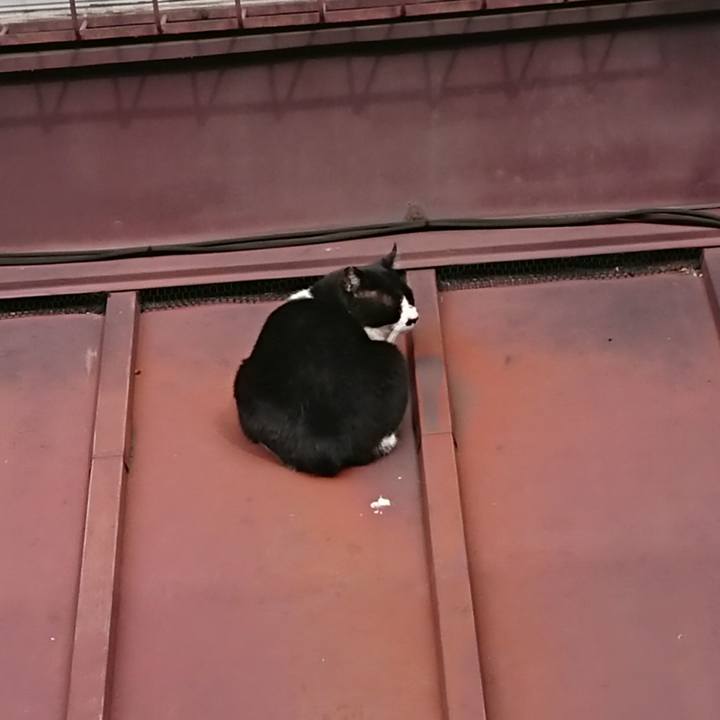 Fb067085 ad36 47e6 9439 99eb7a6d57f6 1581733483278