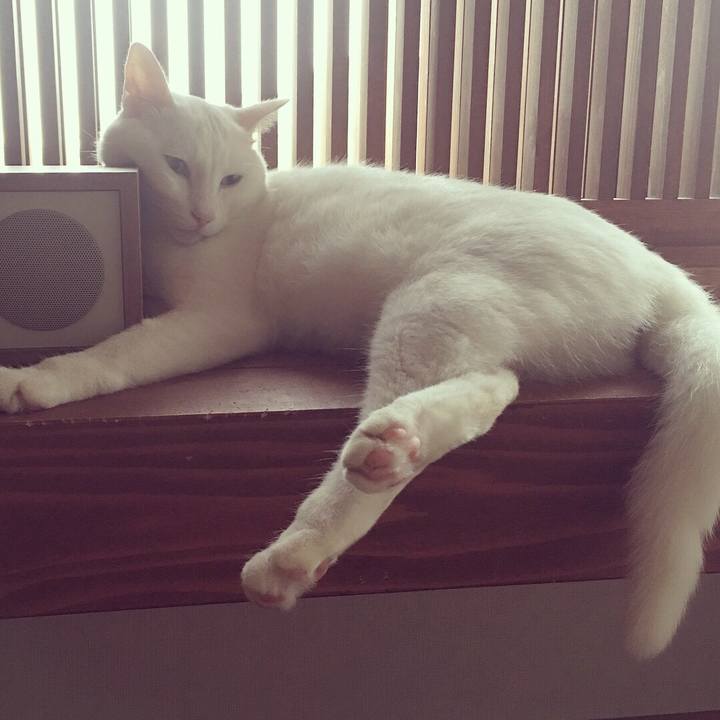 Fb06aab7 9c9c 41a9 afdd 9f332b55dd7b 1530060267652