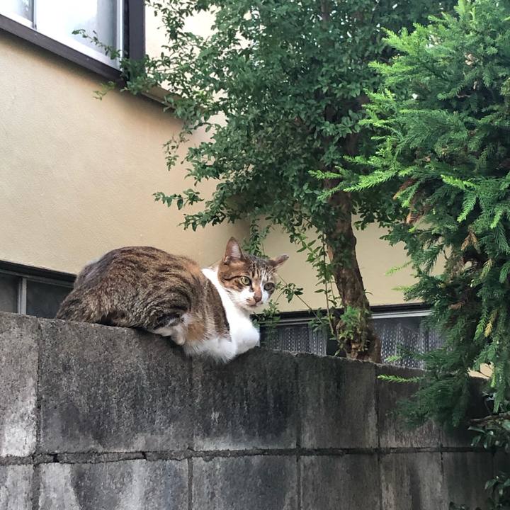 Fb06e099 2f1e 4f9d a045 4261548c8a2b 1570456568468