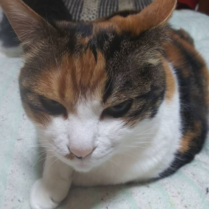 Fb06f779 cb0e 4e1b 9a1b 000fb1b6d878 1560203480865