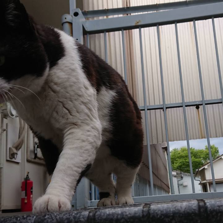 Fb070c50 9304 4c71 a680 6b5dc0f474d7 1617687415871