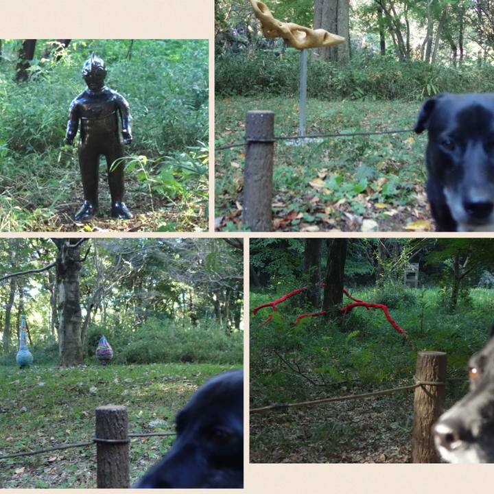 Fb071a75 7e03 4497 a459 d35055473d10 1697935430501