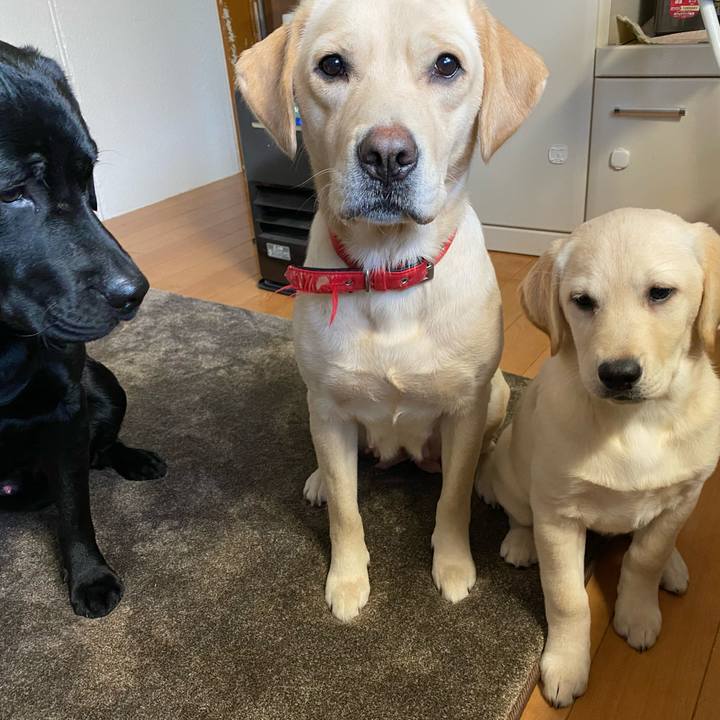 Fb071e2f c2da 4d0c b5c7 a352deda2c65 1612824205434