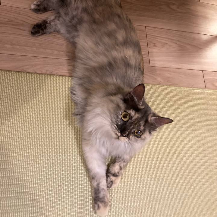 Fb071ed7 5764 43ee a81d a6b493e2ccc1 1733485730395