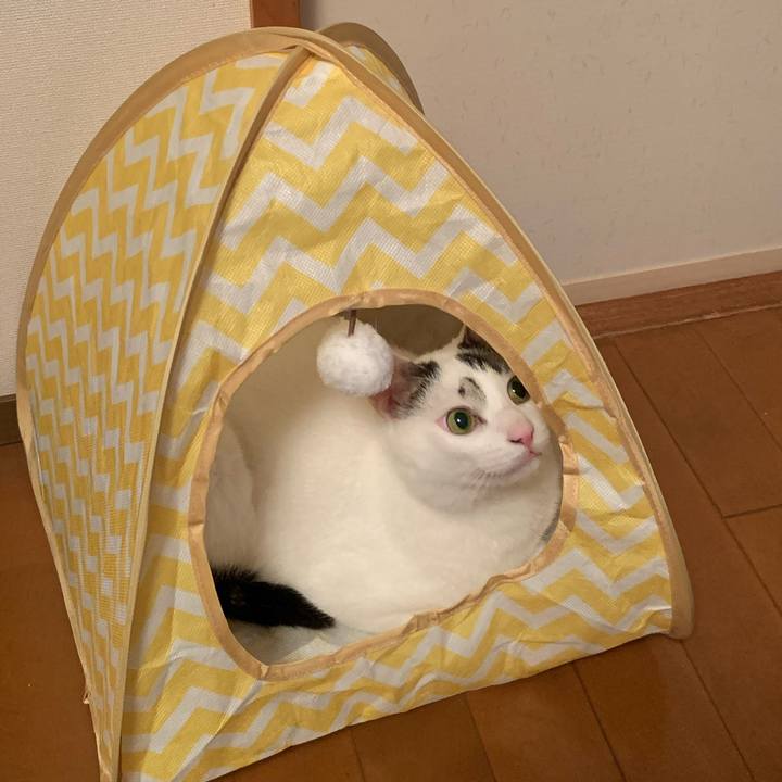 Fb075407 6ddb 47ba b9d9 485d313e23ae 1628590635468