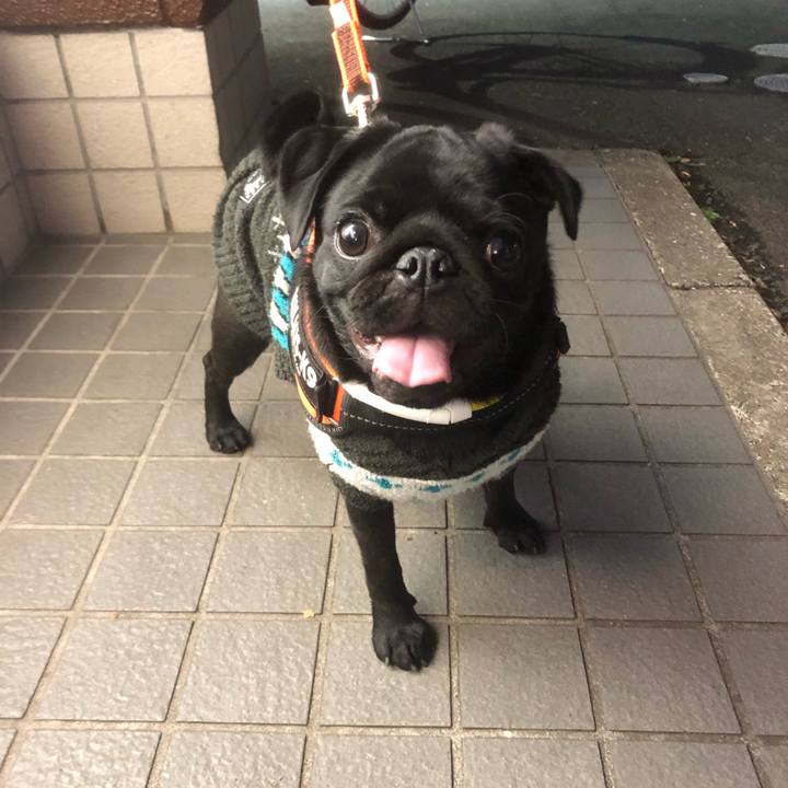 Fb075a84 8ae4 457e 952b 6ae21da2d1b6 1607511360313