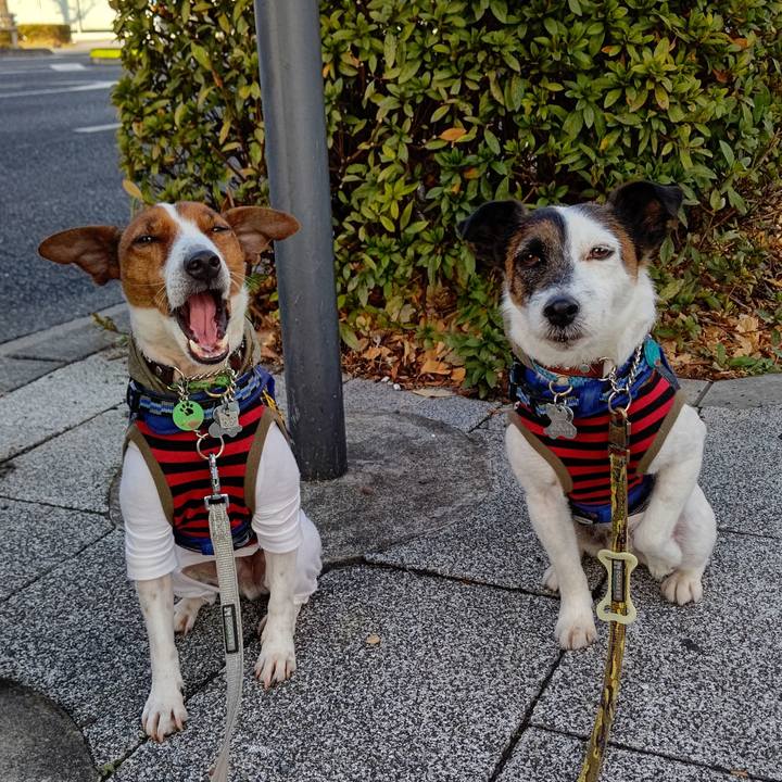 Fb076d1c be2e 4d4e 95c2 e0b806a144ac 1644881977325