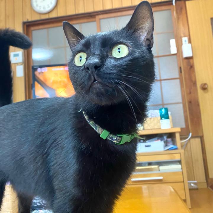 Fb07c10c a599 493f be87 6bec3774182b 1722655020423