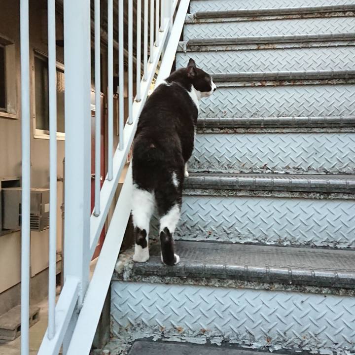 Fb07e269 b19e 4c44 b0c3 af863e196fbc 1660038066488