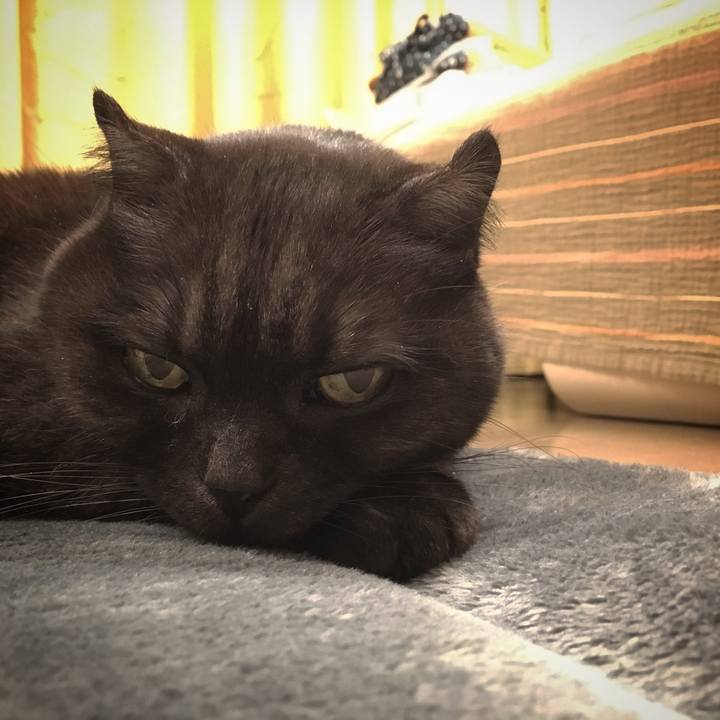 Fb0828a3 2434 4bc5 9013 a1bc3cb43f89 1547742080181