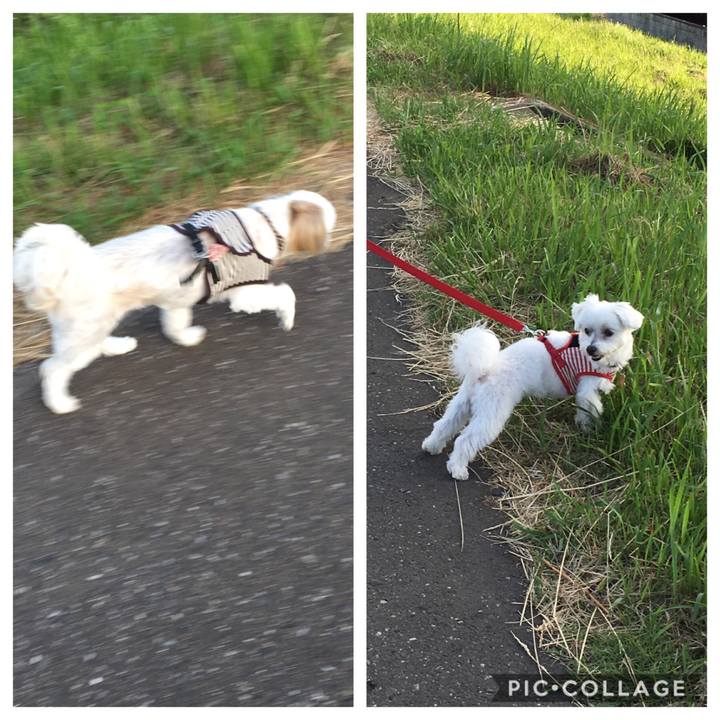 Fb0834a6 5a9d 4b28 b166 01ed7d601eca 1559126657167