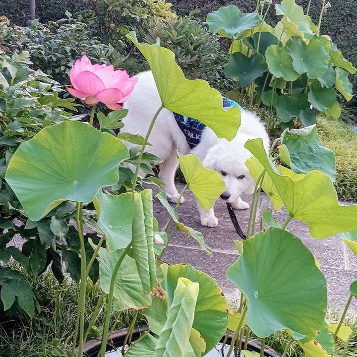 Fb086f95 d7d4 4d60 903b 5aae15bfa4b5 1720389178815