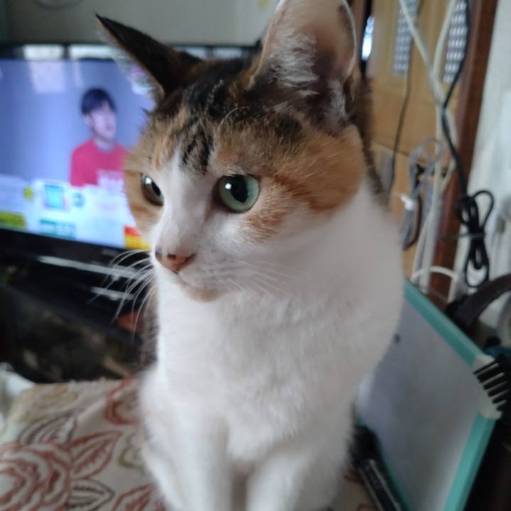 Fb088767 d9e1 4952 860b e75df13ddf82 1695905874772