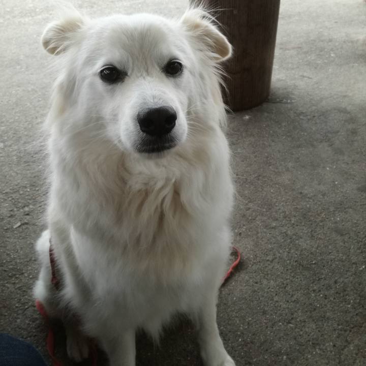 Fb089e07 1667 4e22 b8ba 64f00b747656 1521420973860