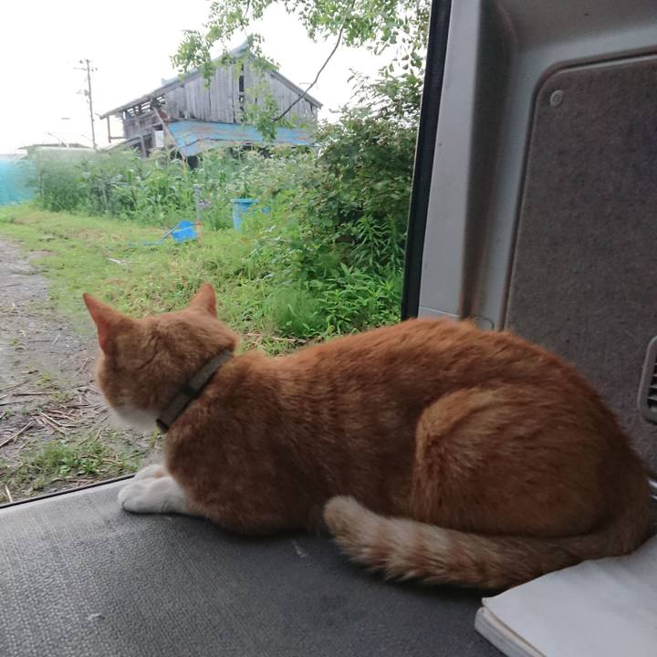 Fb08ae34 bf3b 408b be77 575a61cc007a 1596142416089