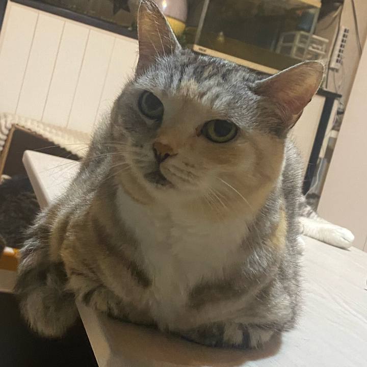 Fb08b950 a1e1 4df4 b493 531c01f95c28 1717944679791