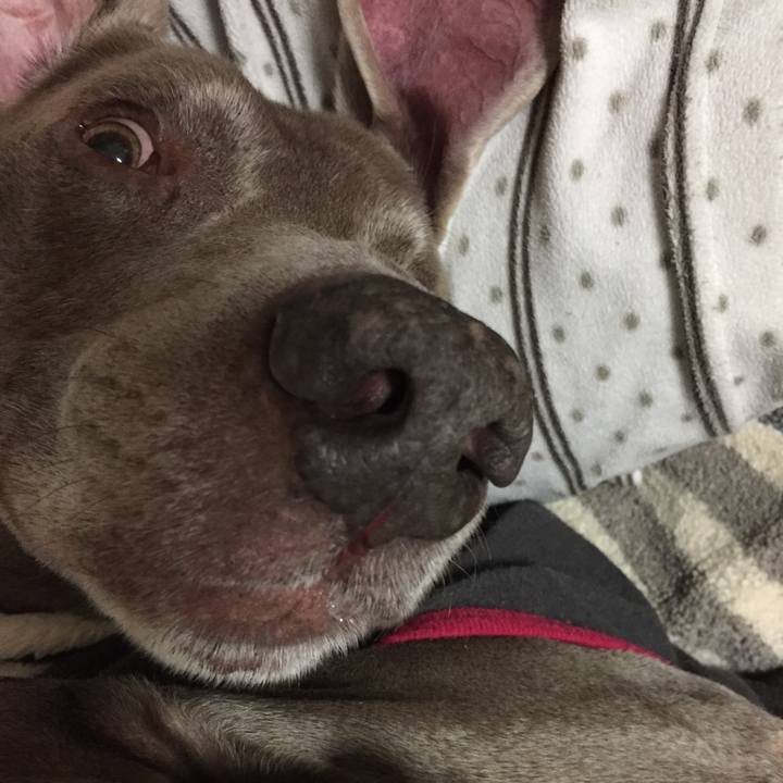 Fb08bb02 793f 492a ada1 e9155d201105 1526651908790