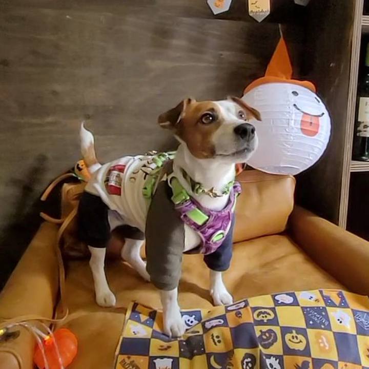 Fb097160 9540 4919 8211 80cfc2ff3b6a 1696721526234